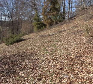 Naturerlebnispfad Meidelstetten