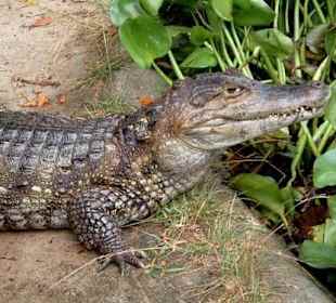 Bild vom Card Partner