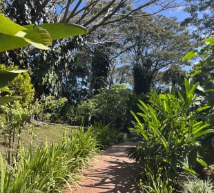 Gartenanlage