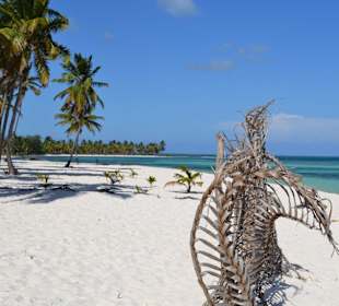 Traumstrand auf Saona