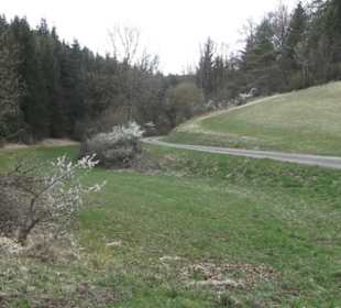 Wanderung Heiligental