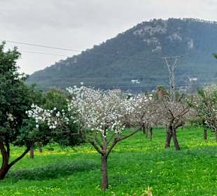 Stadtrundgang Valldemossa