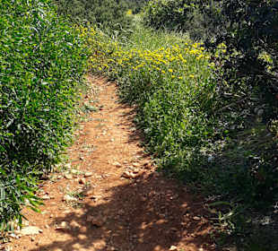 Nationalpark Kap Greco