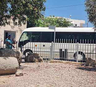 Vasilis und sein Bus