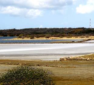 Impressionen von den Salzflächen