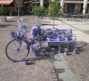 Uferpromenade Menaggio