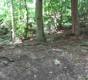 Wanderweg Märchensee Runde