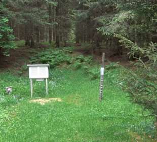 Doline Weidenwang