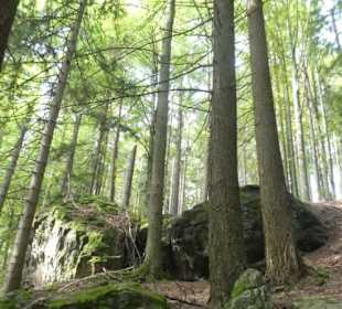 Wanderung Rißlochwasserfälle