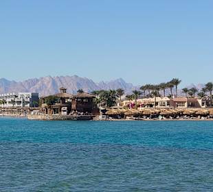 Blue Waves - Sea Trips