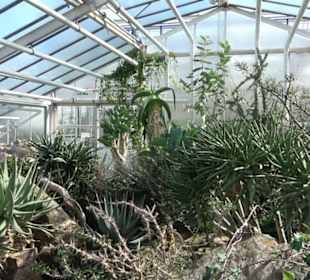 Gewächshäuser Botanischer Garten