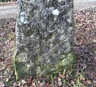 Alter Abteilungsstein 1