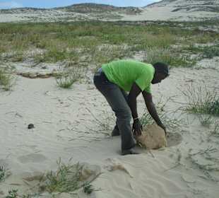 Francesco macht den Weg frei