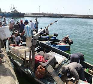 Fischerboote bringen frischen Fisch