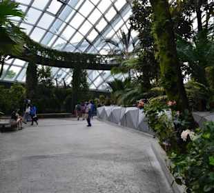 Gardens by the Bay