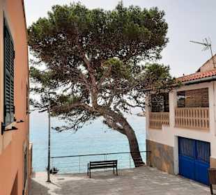 Ausblicke von der Promenade 