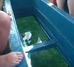 Ausflug Glasbodenboot Diani Beach