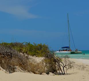 Pillar beach