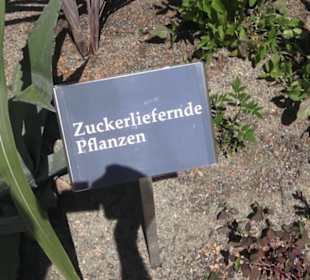 Botanischer Garten der Universität Zürich