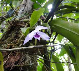 Ausflug Wildfife Expeditions