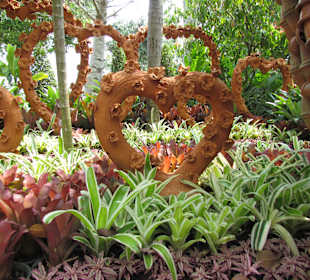 Noong Nooch Village Garden und Resort