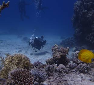 Tauchen Marsa Alam