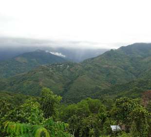 Wildlife Expeditions