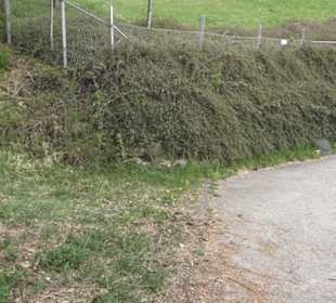 Wanderweg Firstwaldrunde