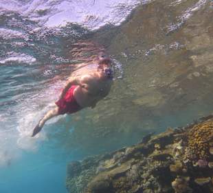 Einmalie Erlebnisse mit Mo´s Delfinen