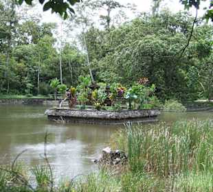 Teich