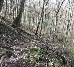 Wanderweg Hochgehkämpft