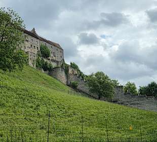 Sport & Freizeit