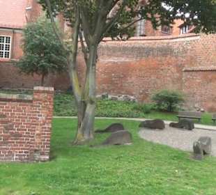 Meeresmuseum Stralsund