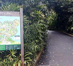 Singapur Zoo