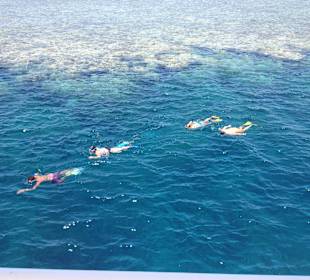 Schnorchelausflug auch für Anfänger