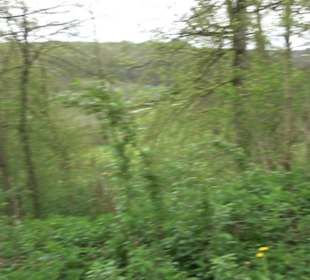 Premiumwanderweg Hochgebürzelt