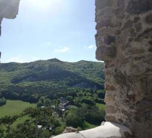 Ausblick