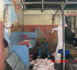 Ein leckeres Spanferkel