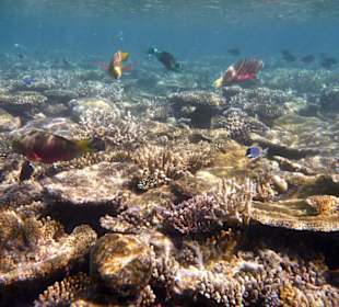 Пара метров от пляжа