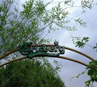 Im Bazar von Gündogdu Bar`s