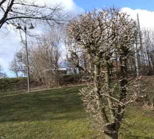 Dorfgemeinschaftshaus