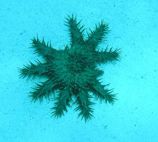 Beim Delfine-House aufgenommen