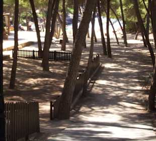 Weg zur Cala Barca