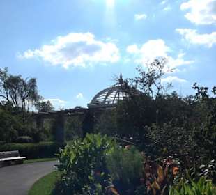 Botanischer Garten München
