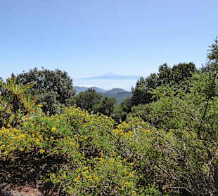 Weg zurück, Aussicht