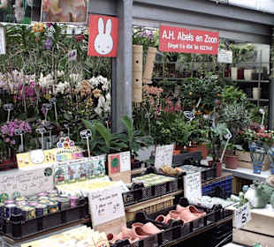 Blumemmakrt am Stingerl