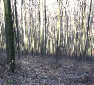 Wanderroute Drei Berge Tour Willmandingen