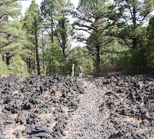Durch das Lavafeld