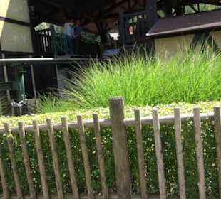 Land der Ritter - Drachenjagd