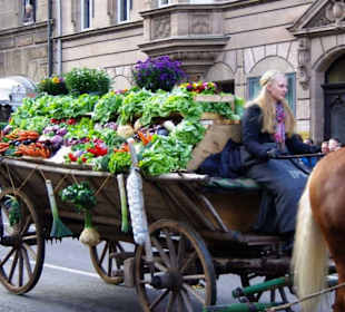 Knoblauchsland Fürth